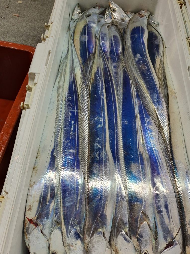ec8c24ca04e9f2b3eb0c34f7d050c381_1668730460_5812.jpeg
