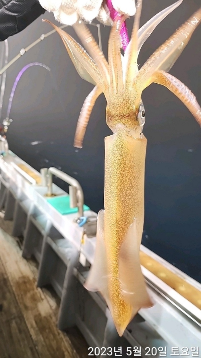 493c659970901f974c05e620c880f3c1_1685572542_2034.jpeg