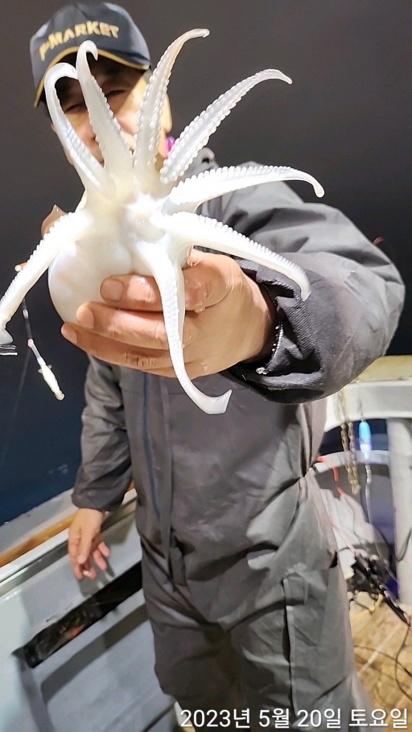 493c659970901f974c05e620c880f3c1_1685572541_3317.jpeg