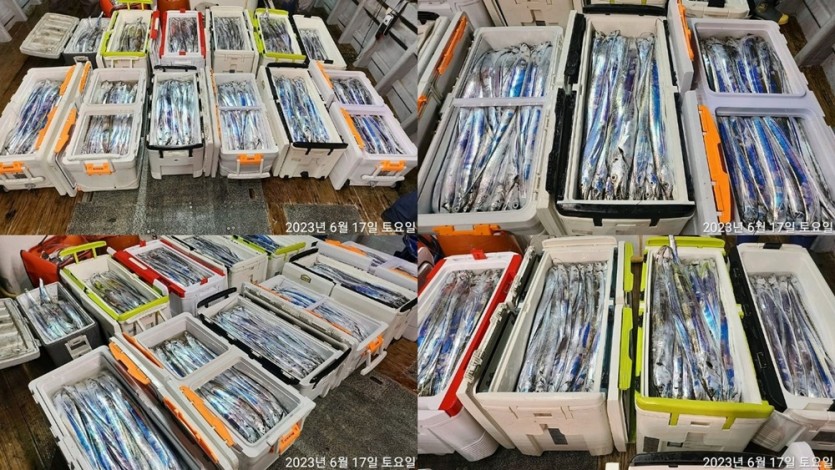 940d9be915c15bedbe12ace2974e6c9a_1686956554_5966.jpg