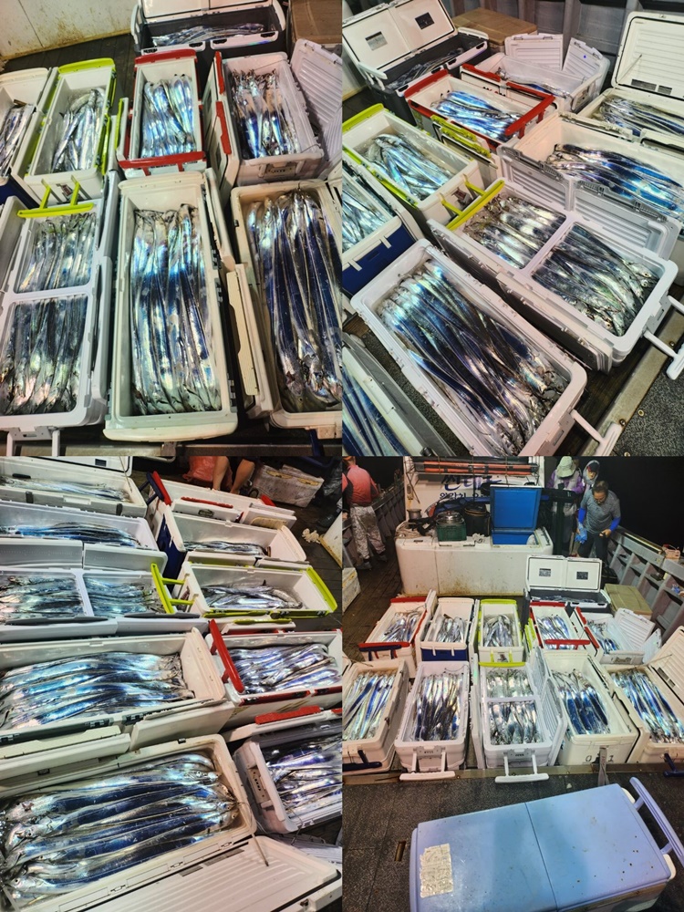 33d5b606f2f4addfc5e63de694d41805_1692052912_1097.jpg