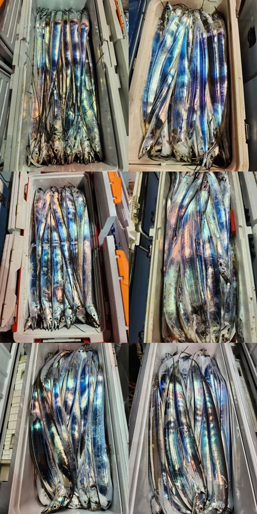7826e938cfd8a5a5d29080da87d5ace6_1691881345_6536.jpg