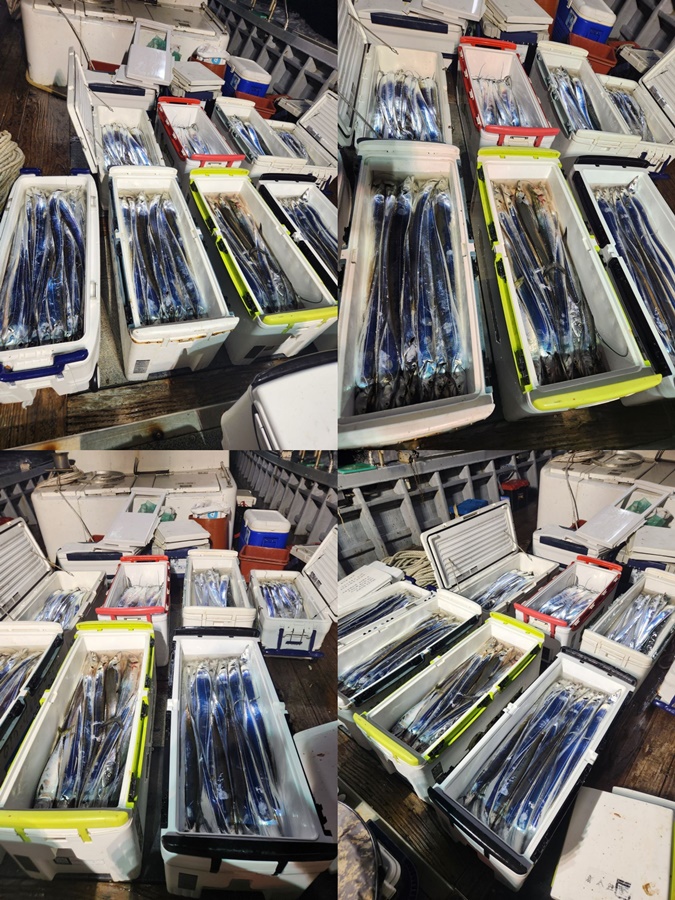27d4303dd4b510ef1f30c2db37bd98c5_1724642006_0653.jpg