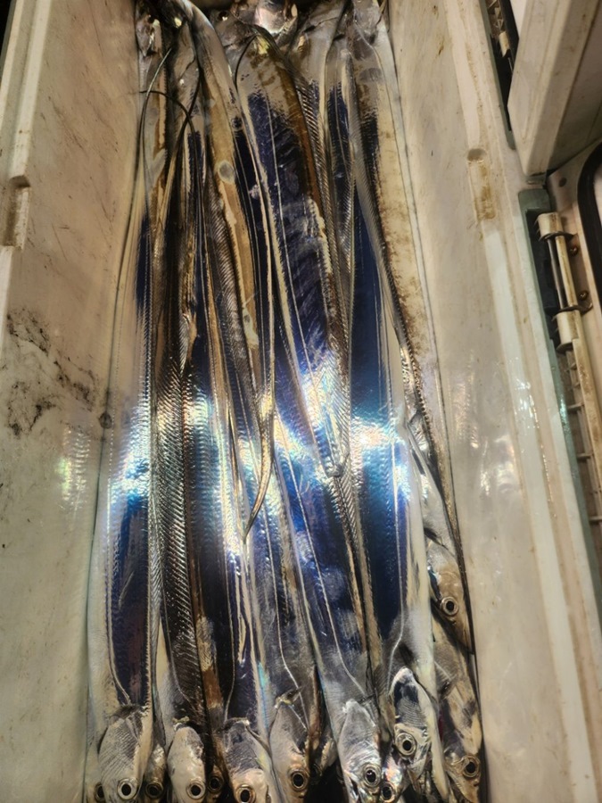 3e939c3ee67248faacb99a3fd48f4827_1750663719_5917.jpg